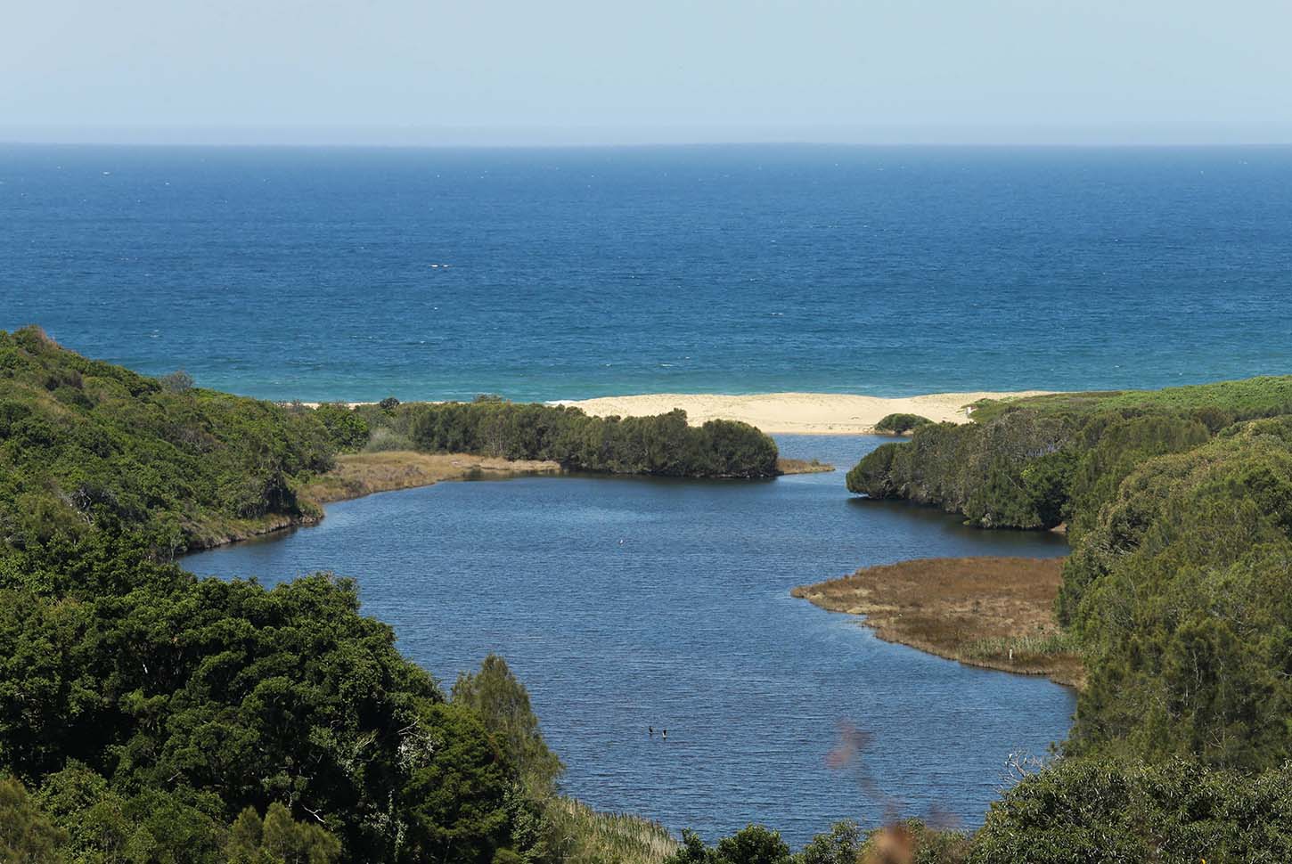 Embracing Nature’s Beauty: Exploring Newcastle’s Natural Wonders